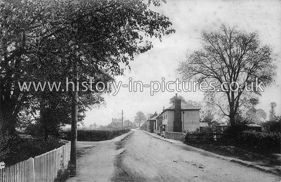 The Street, Latchingdon, Essex. c.1913